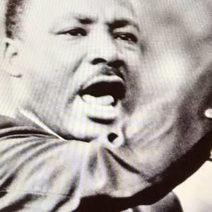 Meet your Posher, Timothy